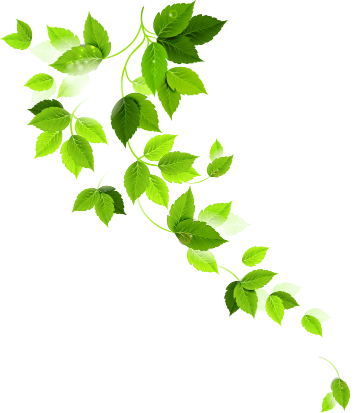 Build%20Avani%20Kailani%20Commodities%20LLC