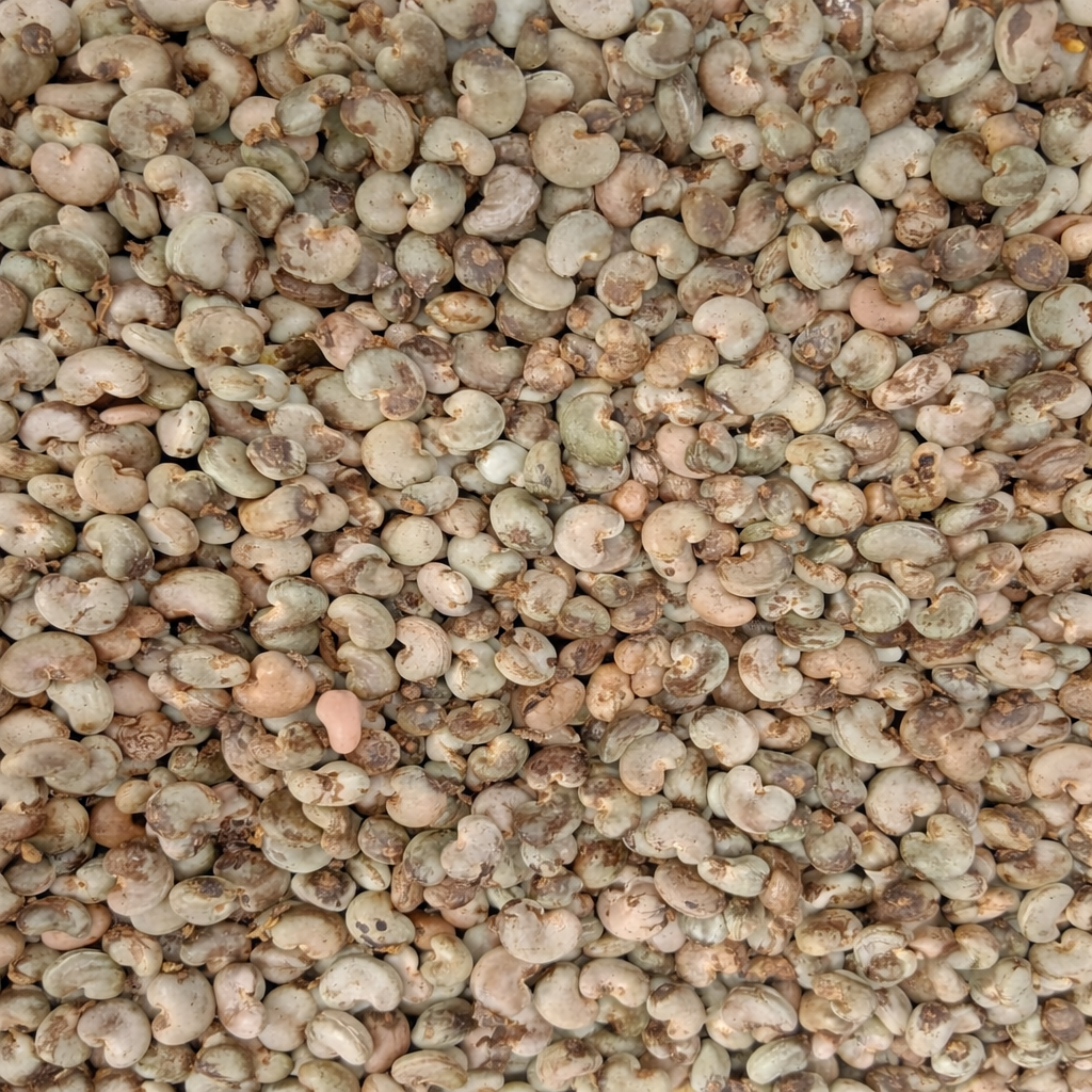 Build%20Avani%20Kailani%20Commodities%20LLC